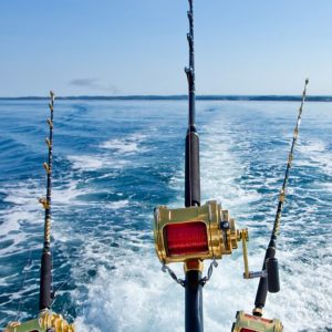 Fishing - UPN
