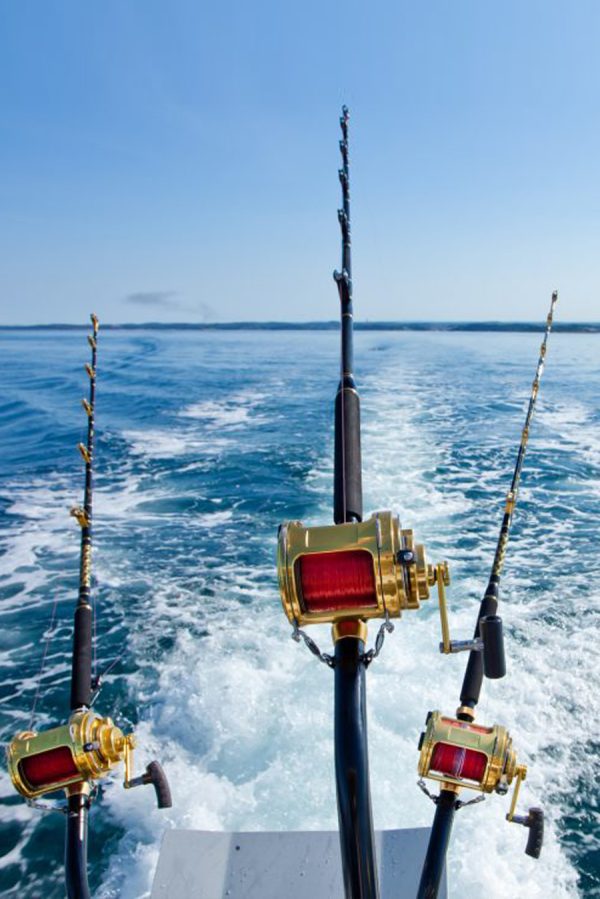 Fishing - UPN